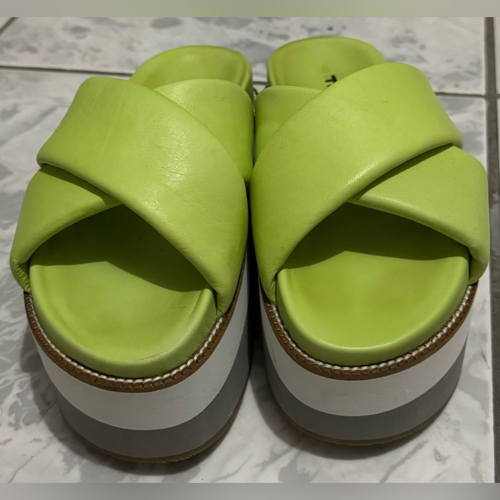 NOVUS - FATMA - GREEN